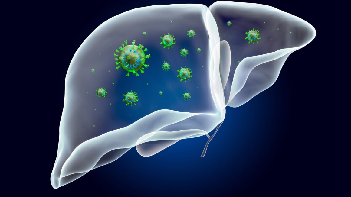 GallBladder and Biliary Tree