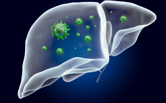 GallBladder and Biliary Tree